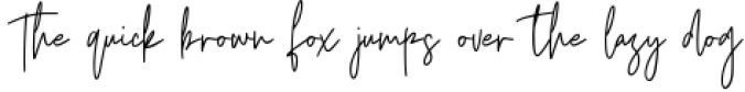 Castallier Signature Script Font Font Preview