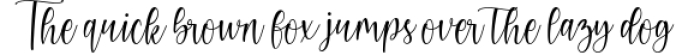 calista - Modern Calligraphy Font Preview