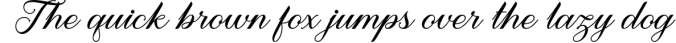 Meighan Script Font Preview