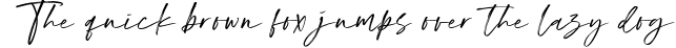 Houstiny - Handwritten Font Font Preview