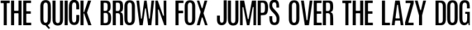 Ioannina Sans Serif Family Font Preview