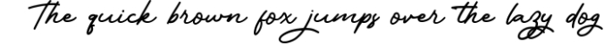 Boutegard Classy Signature Font Preview