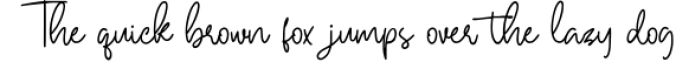 Hallywood - Handwritten Script Font Font Preview