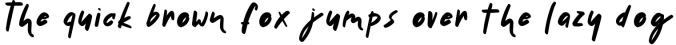 Handwritten Delicious Font Tavernaki Font Preview