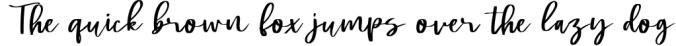 Swally - Brush Script Font Font Preview