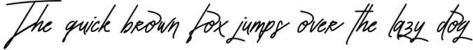 Amorisa Signature Font Font Preview