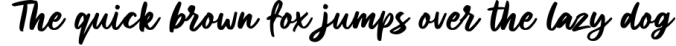 Allisya Brush Script Font Preview