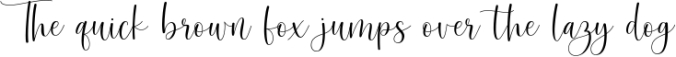 Hernitta Script Font Font Preview