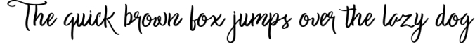 Hamiliton Script Font Font Preview