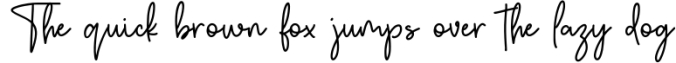 Autumn Fairy Signature Monoline Font Font Preview