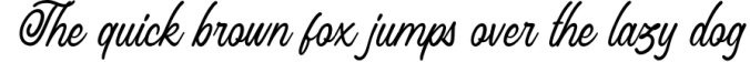 Saylena - Luxury Script Font Font Preview