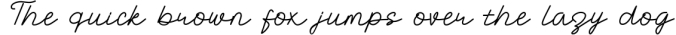 Codova Signature Font Font Preview