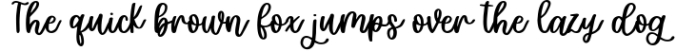 Hand Lettered Script 4 Font Bundle Font Preview