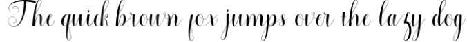 shintia script Font Preview