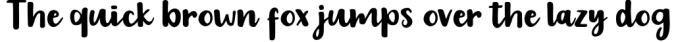 The Timmy Script Font Preview