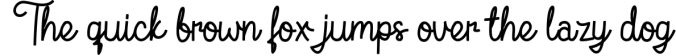 Flamingo - Monoline Script Font Font Preview