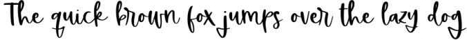 Wildberry - A Bouncy Handwritten Script Font Font Preview