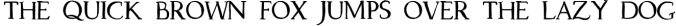 Dragonfly. Uppercase Ligature Font. Font Preview