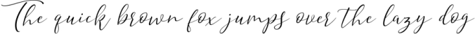 Hyldae Script Font Font Preview
