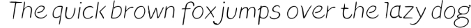 Blushes u2014 Light & Light Italic Font Preview