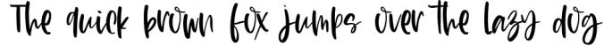 Blush Lovely - Handwritten Font Font Preview