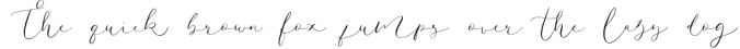 Amelie - Chic & Elegant Script Font Font Preview