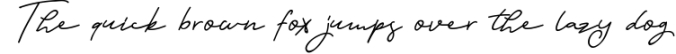 Orlando Signature Extra Logo Font Preview