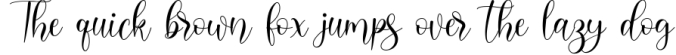 Delara Script Font Preview