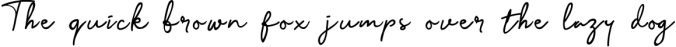 La Vie - A Handwritten Brush Font Font Preview