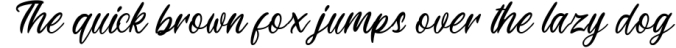 Gilliant Script Typeface Font Preview