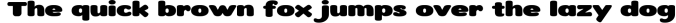 Roundigger Font Preview