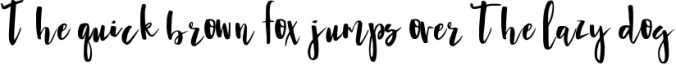 ALLYSA SCRIPT a Hand Lettered Brush Font Font Preview