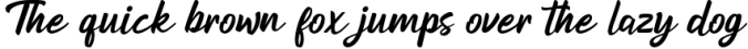 Bonjour Modern Script Font Font Preview