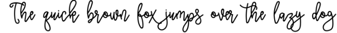 Soxcel Flange Script Font Font Preview