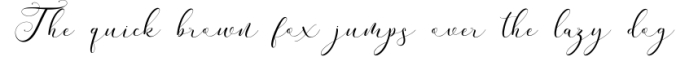 Andieny Script Font Preview