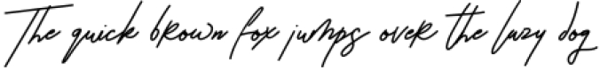 Arion Signature Font Font Preview