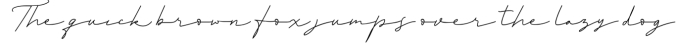 Raimond - Elegant Script Font Preview