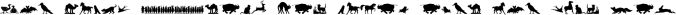 Animal Silhouettes (pack) Font Preview