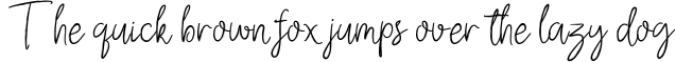 Aligator Signature Font Font Preview