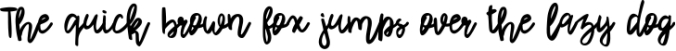 Rhiner || Latin & Cyrillic Handwritten Script Font Font Preview