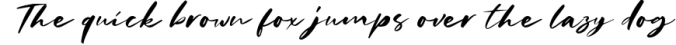 Charlotta - Handwritten Script Font Preview
