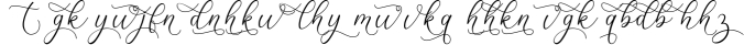Lizelie Calligraphy font Font Preview