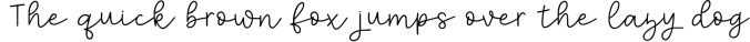 Flying High - a handlettered script font Font Preview