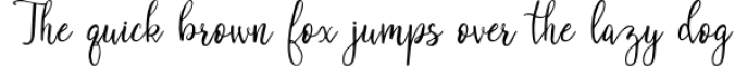 Blanchefleur Calligraphy Font Font Preview
