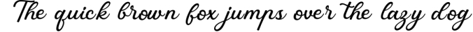 Highline  Beautiful Script Font Font Preview