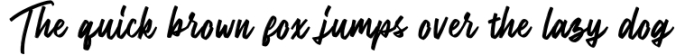 CRAZY BUNDLE - Handwritten Font Font Preview