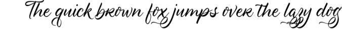 Swansong | Handlettered Script Font Font Preview
