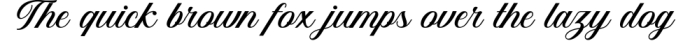 Bilgate Script Font Preview