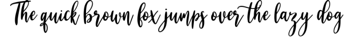 Alesandra Modern Calligraphy Font Preview