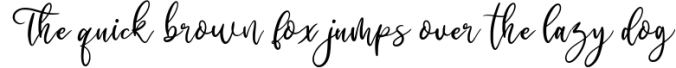 Raysha Signature Handwritten Font Preview